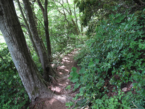 20140517hike (274)